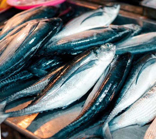 seafood