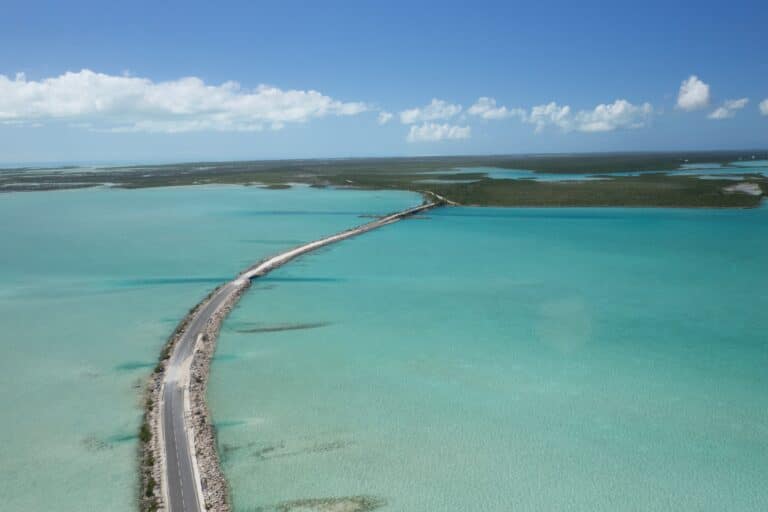 DJI_0576